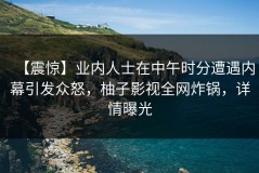 【震惊】业内人士在中午时分遭遇内幕引发众怒，柚子影视全网炸锅，详情曝光