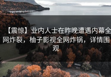【震惊】业内人士在昨晚遭遇内幕全网炸裂，柚子影视全网炸锅，详情围观