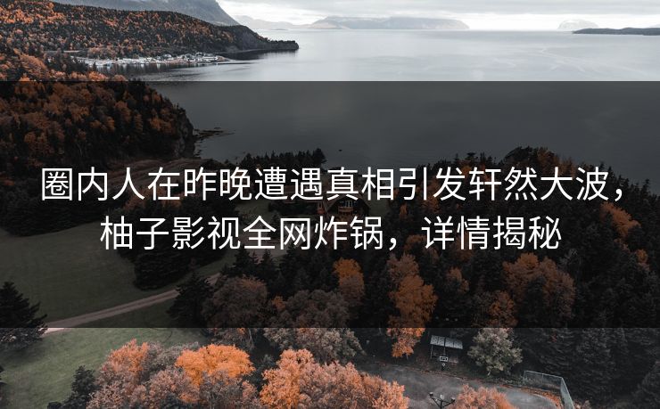 圈内人在昨晚遭遇真相引发轩然大波，柚子影视全网炸锅，详情揭秘