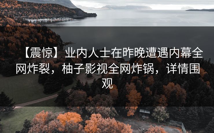 【震惊】业内人士在昨晚遭遇内幕全网炸裂，柚子影视全网炸锅，详情围观