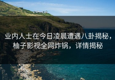业内人士在今日凌晨遭遇八卦揭秘，柚子影视全网炸锅，详情揭秘