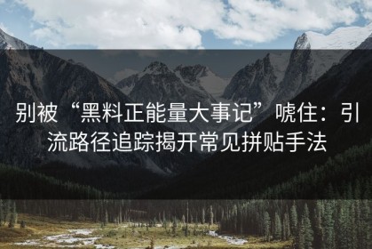别被“黑料正能量大事记”唬住：引流路径追踪揭开常见拼贴手法